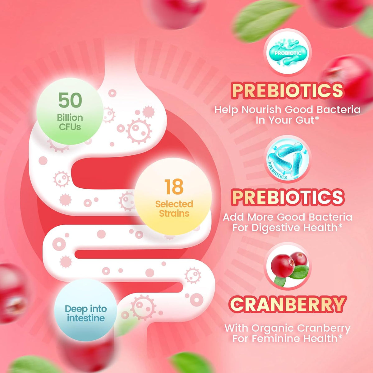 VivoNu Women's's Probiotic Gummies - Feminine Balance Support with Cranberry, 60 Count – Image 3