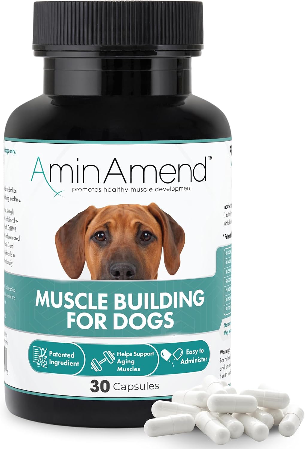 AminAmend Dog Muscle Supplement for Large Breeds – CaHMB & Vitamin D3 (30 Count) – Image 1