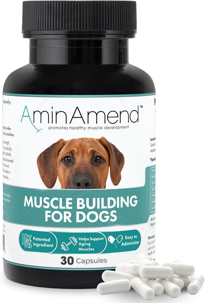 AminAmend Dog Muscle Supplement for Large Breeds – CaHMB & Vitamin D3 (30 Count) – Image 1