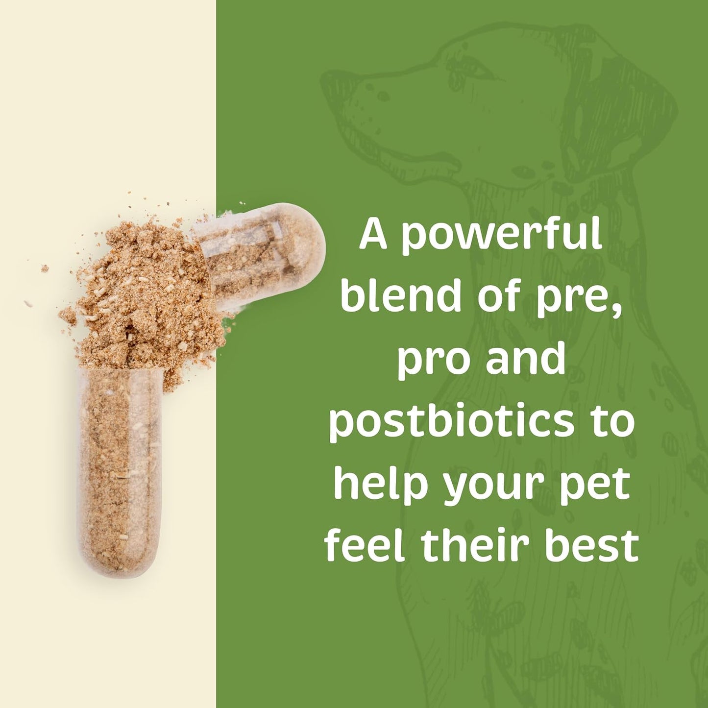 Spirited Paw Probiotic + Gut Health - Digestive and Immune Support for Dogs and Cats - Prebiotic, Probiotic and Postbiotic Pet Care Blend with Organic Buckwheat and Chicory Root Fibre - 90 Capsules - görsel 3