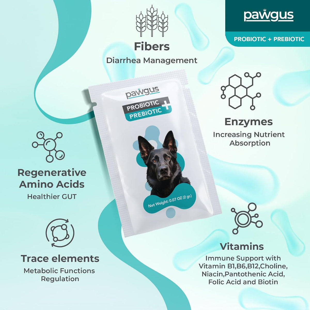 Ultimate Prebiotic & Probiotic Combo for – Delivery System: Microencapsulation technology protects the probiotics – Image 4