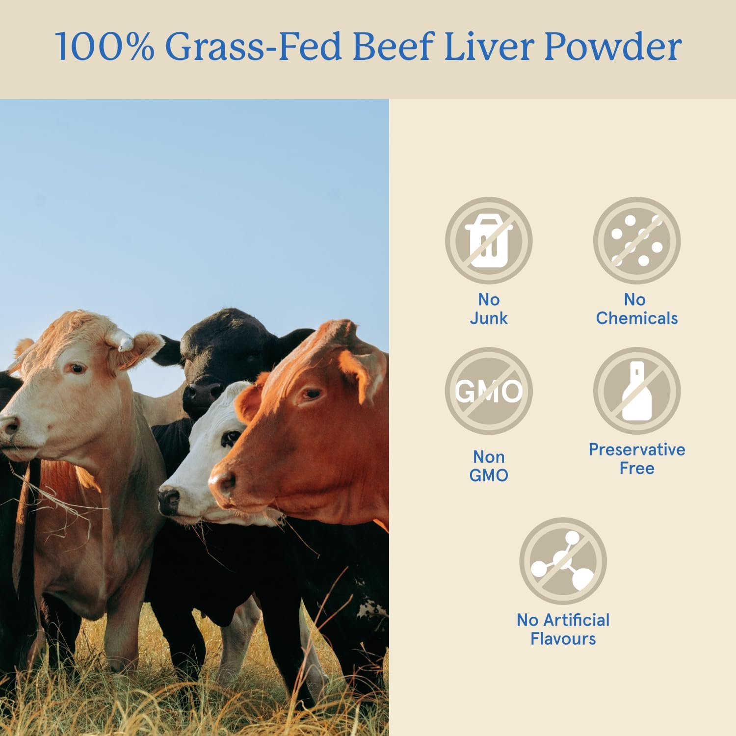 Equip Grass-Fed Beef Organs - Regenerative Freeze Dried Liver, Kidney & Heart Capsules - görsel 3