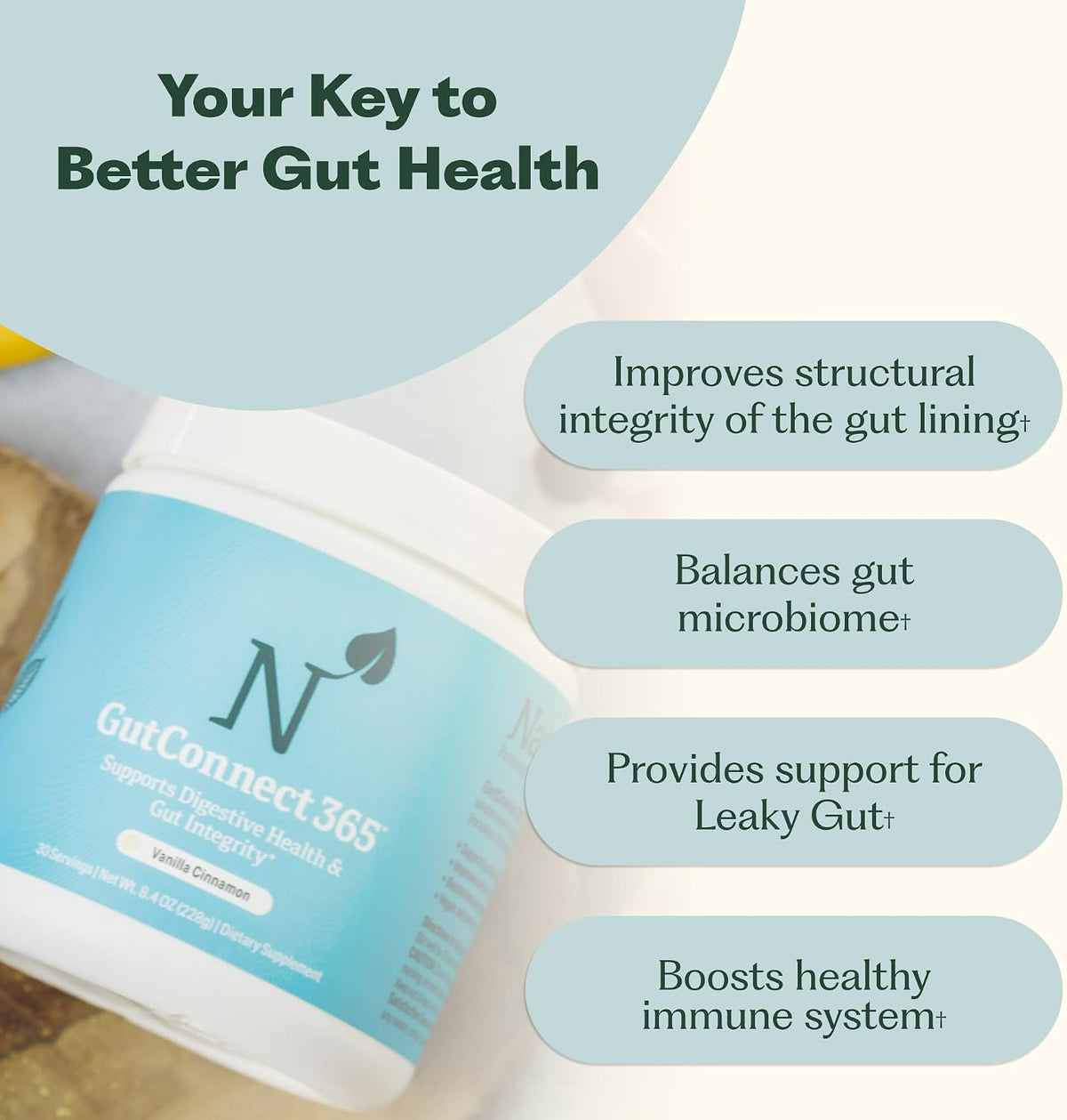 Nature M.D. GutConnect 365 – Chocolate – Boosts Immunity – A significant portion of the immune system resides in – Image 3