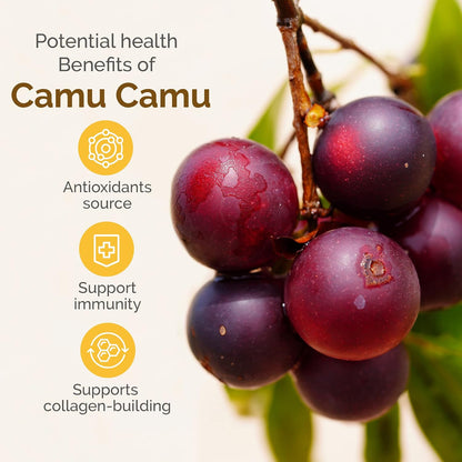 Camu Camu Powder, Natural Vitamin C by Zint: Raw Organic Antioxidant Superfood - Immune Support & Anti-Ageing - Non-GM, Super Vitamin C Berry (100 g)