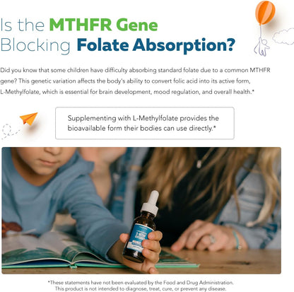 Organic Kids L-Methylfolate + Methyl B12 – Healthy homocysteine levels —methylation helps regulate homocysteine, – Image 8