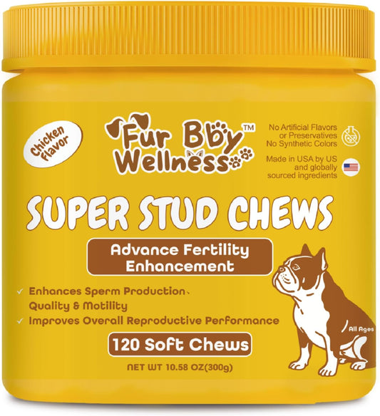 Reproductive Health Supplement for Dogs - – Support reproductive cell quality and motility with L-Carnitine and – Image 1