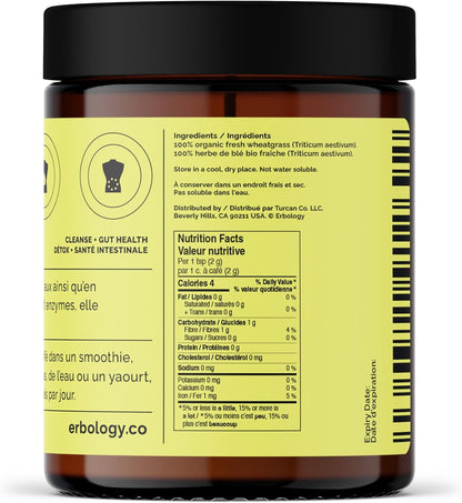 Erbology Organic Wheatgrass Powder – Body Cleansing & Gut Health Support, 90g (45 Servings)