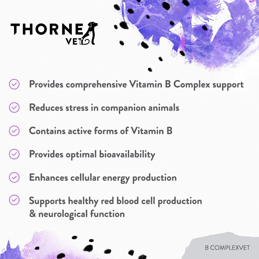ThorneVET B ComplexVET – Vitamin B Complex Support for Dogs & Cats - 60 Soft Chews - görsel 4