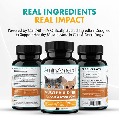 AminAmend Muscle Support Pet Supplement for Small Dogs and Cats with CaHMB and Vitamin D3 – 30 Capsules – Image 5