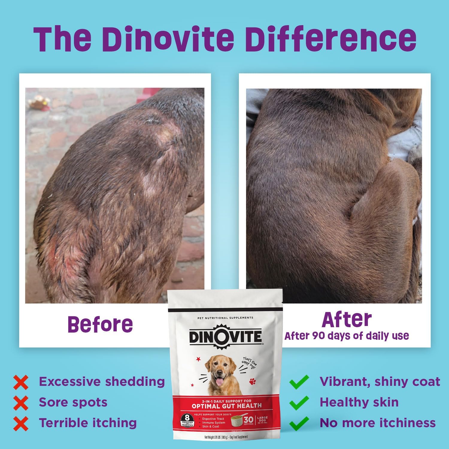 Dinovite Probiotics for Dogs, Probiotic Powder Food Topper for Large Dogs (over 20 kg), Daily Digestive Health & Skin Support with Omega-3s, 30 Servings - görsel 3