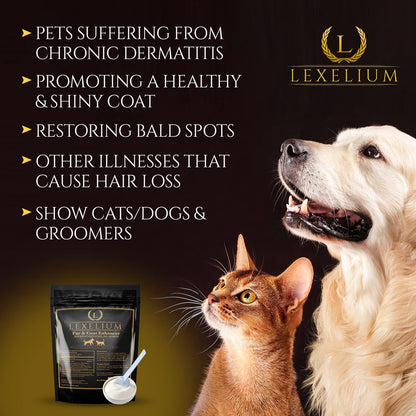 Lexelium Dermatitis Skin and Coat Supplement – Vitamin D3: Supports calcium absorption and immune health, – Image 4