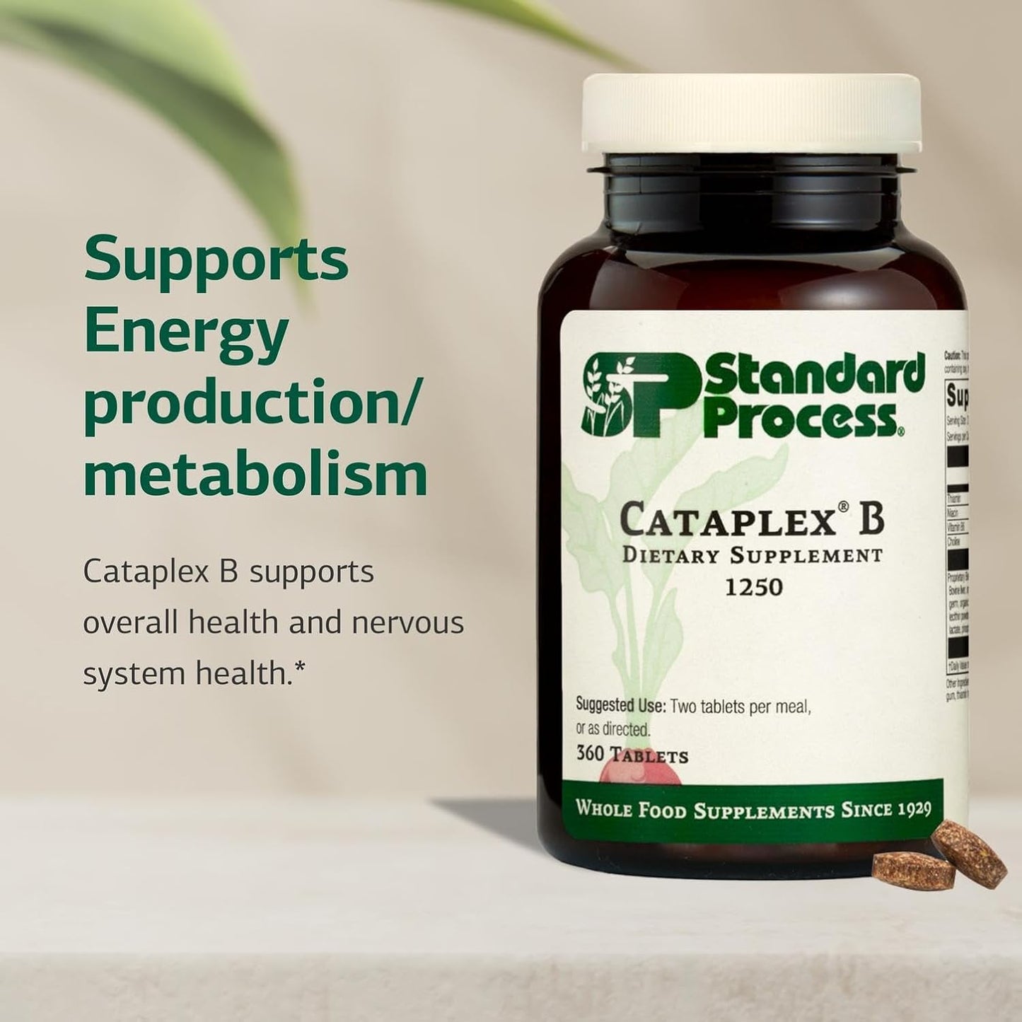 Standard Process Cataplex B B-Complex Supplement - Non-Dairy & Non-Soy - 360 Tablets - görsel 3