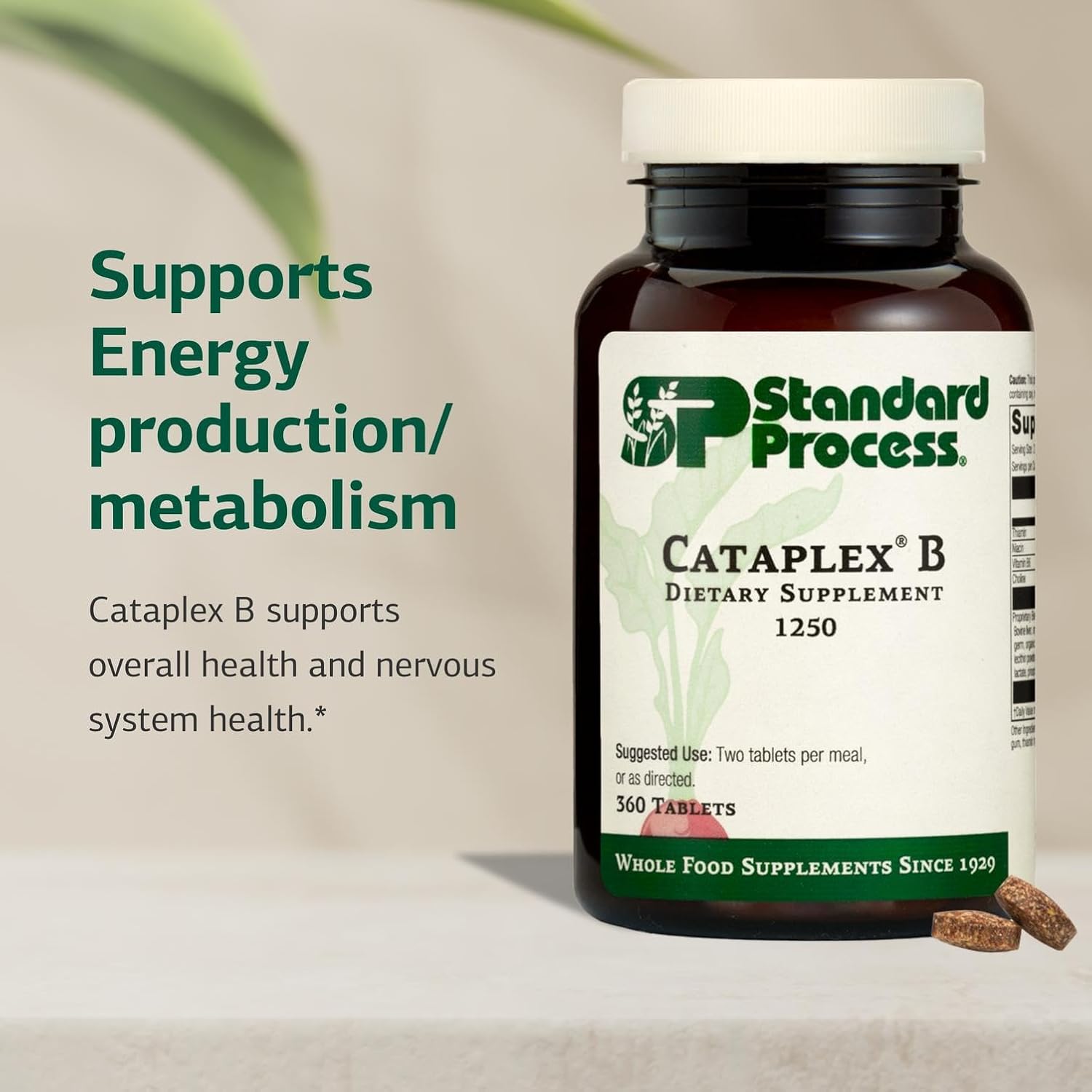 Standard Process Cataplex B B-Complex Supplement - Non-Dairy & Non-Soy - 360 Tablets - görsel 3
