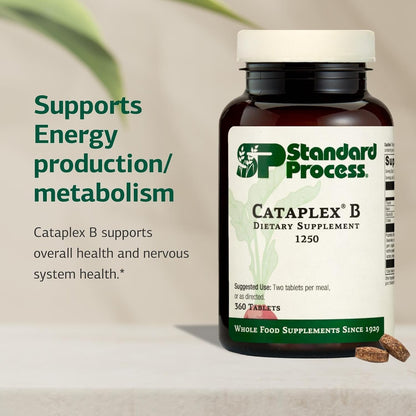 Standard Process Cataplex B B-Complex Supplement - Non-Dairy & Non-Soy - 360 Tablets