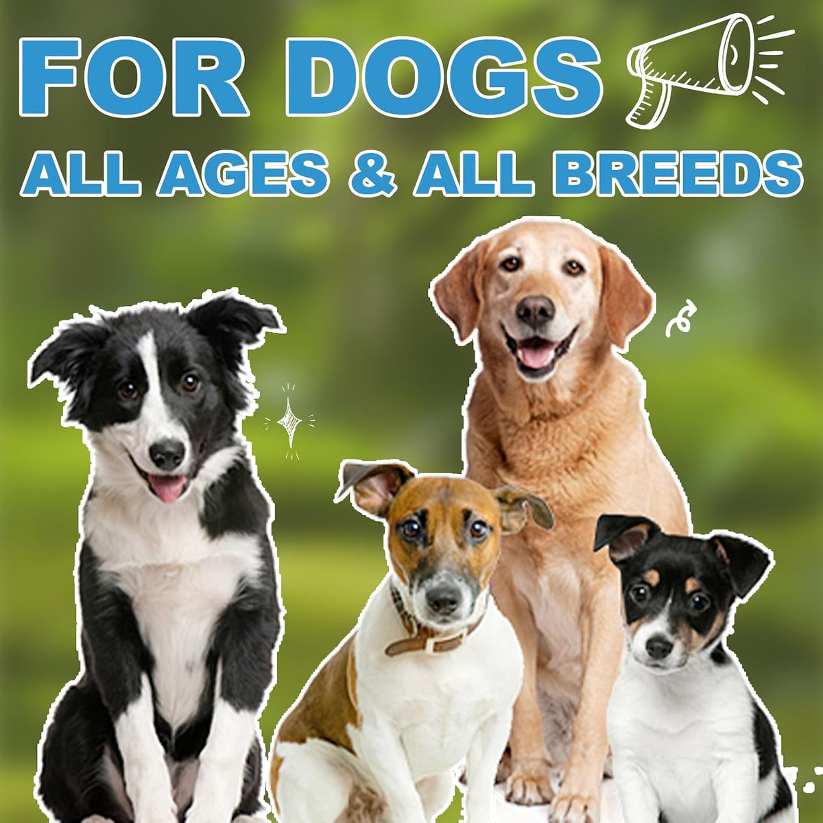 Vitamin D for Dogs, Liquid Vitamin D for – Supports Immune System: Adequate vitamin D levels may help strengthen – Image 7