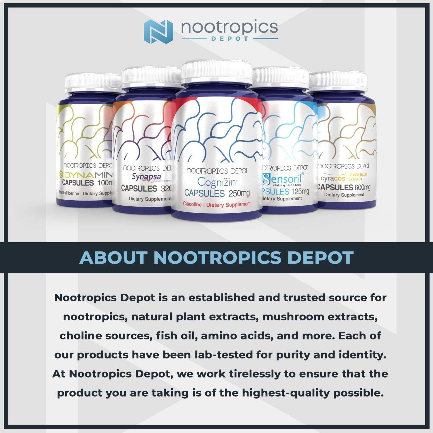 Nootropics Depot Sabroxy® Oroxylin-A Powder | 15 Grams | Minimum 10% Oroxylin-A - görsel 2