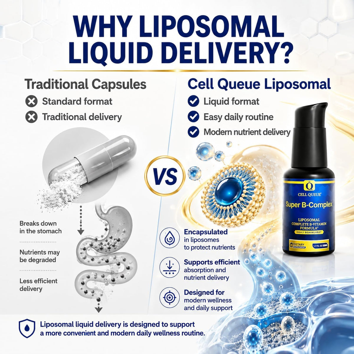 Cellqueue Liposomal Methyl B Complex Liquid – Active B Vitamin Formula with Methyl B12, Folate, TMG & Milk Thistle, 50 ml – Image 3