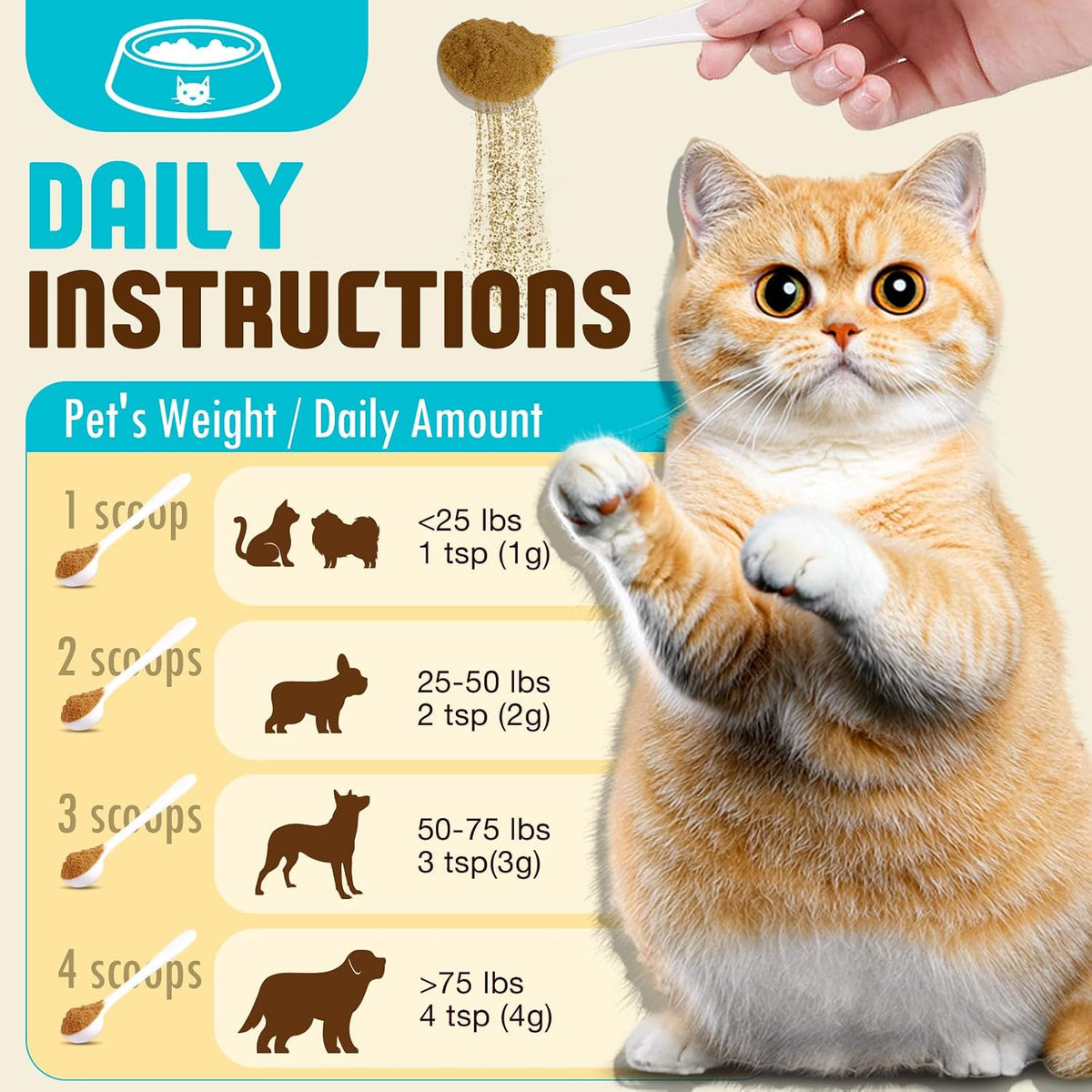 Organic Mushroom Supplement Powder for Dogs – Chaga (Inonotus obliquus): Packed with antioxidants, it helps combat – Image 4