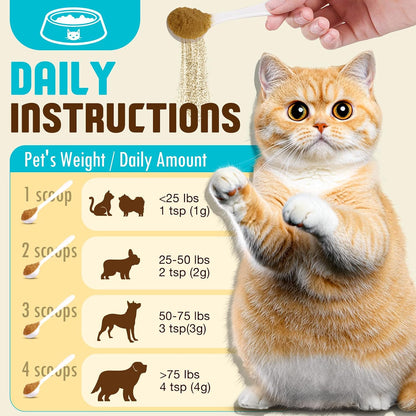 Organic Mushroom Supplement Powder for Dogs – Chaga (Inonotus obliquus): Packed with antioxidants, it helps combat – Image 4