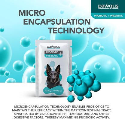 Ultimate Prebiotic & Probiotic Combo for – Veterinary Involvement: Products developed by vets often reflect a – Image 5