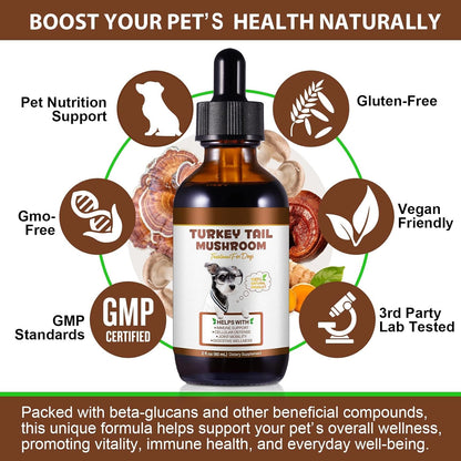 Turkey Tail Mushroom for Dogs, – Digestive wellbeing: Probiotics in the formula support a healthy gut microbiome, – Image 2