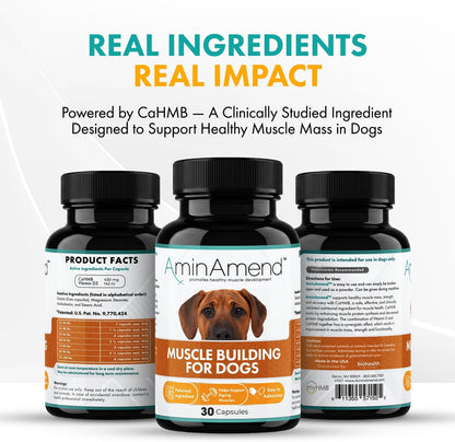 AminAmend Dog Muscle Supplement for Large Breeds – CaHMB & Vitamin D3 (30 Count) – Image 5