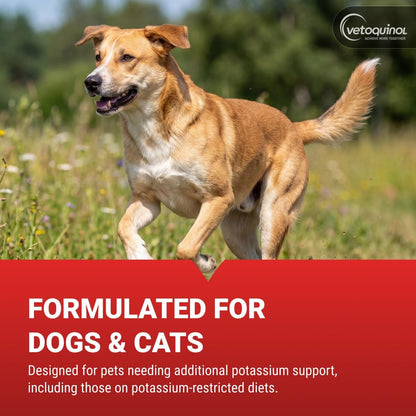 Vetoquinol Renal K - Potassium Supplement Powder for Dogs & Cats - Supports Kidney Health - 100 g