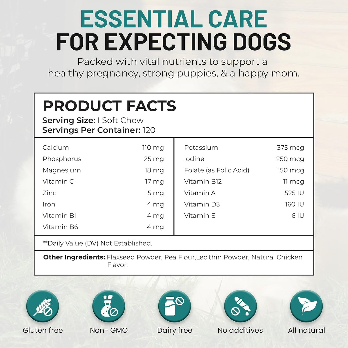 Dog Vitamins and Supplements - Chewable Dog – Fish Oil (Omega-3 Fatty Acids) : Provides omega-3s that promote a – Image 8
