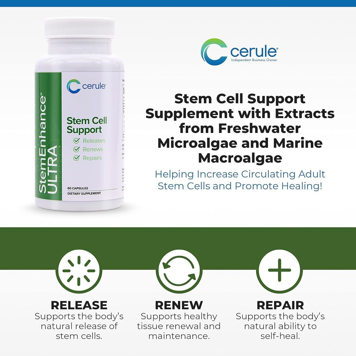 Cerule StemEnhance Ultra 2 Pack – Natural Stem Cell Support for Cellular Renewal, Immune Function, Energy & Recovery – 120 – Image 3