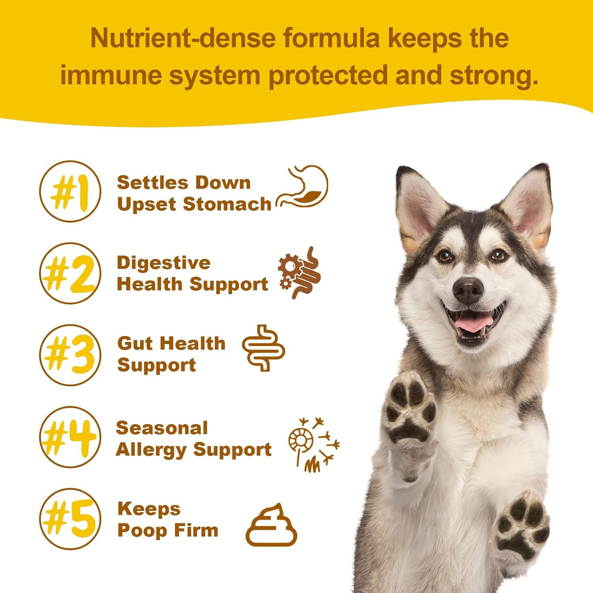 Vet Strength Probiotics for Dogs - Fast – Strain Diversity: Choose a multi-strain product with Lactobacillus – Image 5