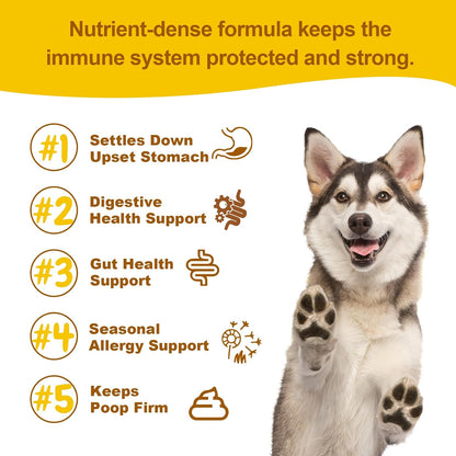 Vet Strength Probiotics for Dogs - Fast – Strain Diversity: Choose a multi-strain product with Lactobacillus – Image 5
