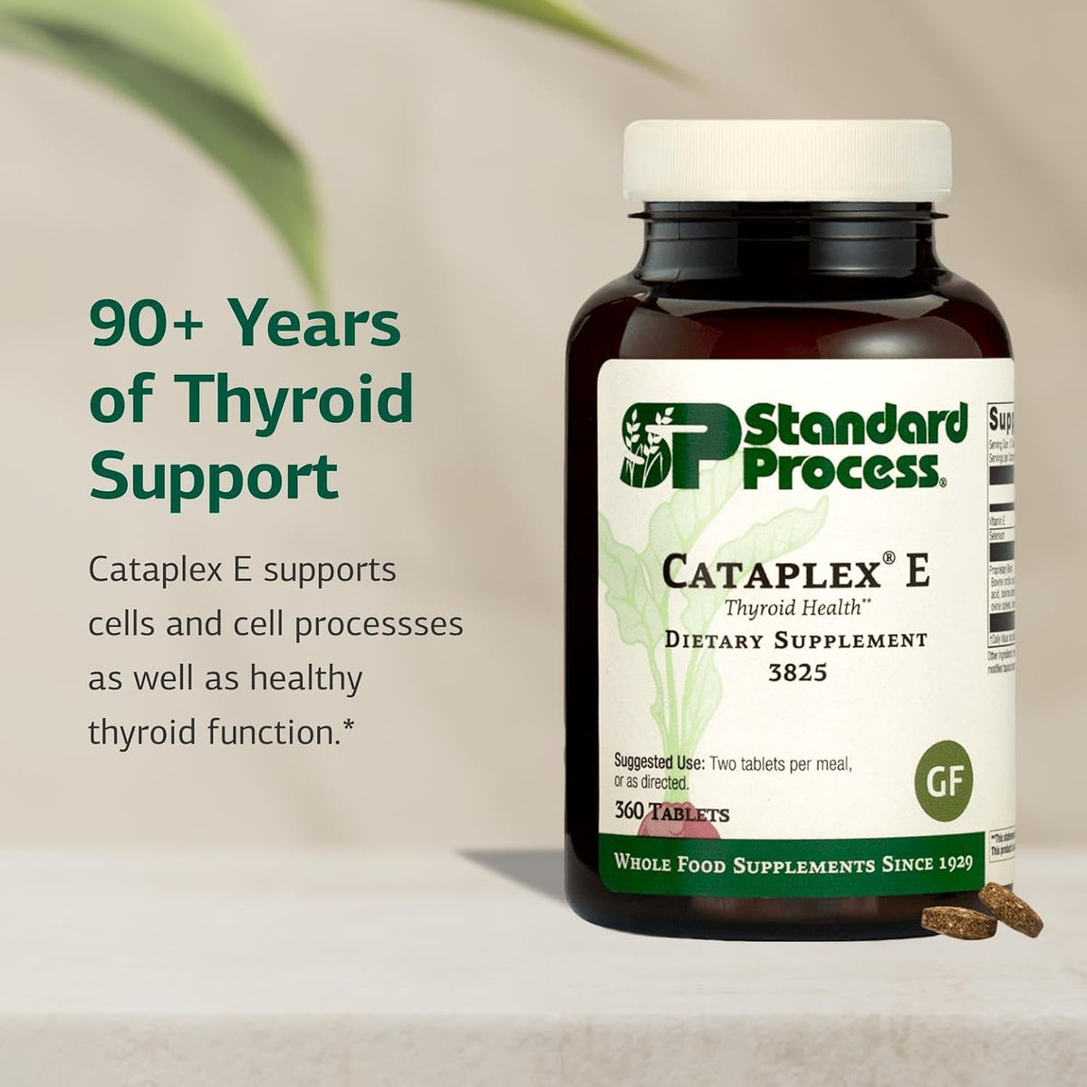 Standard Process Cataplex E Thyroid Health Food Supplement - Gluten Free, Dairy Free & Soy Free - Endocrine System Support - – Image 3