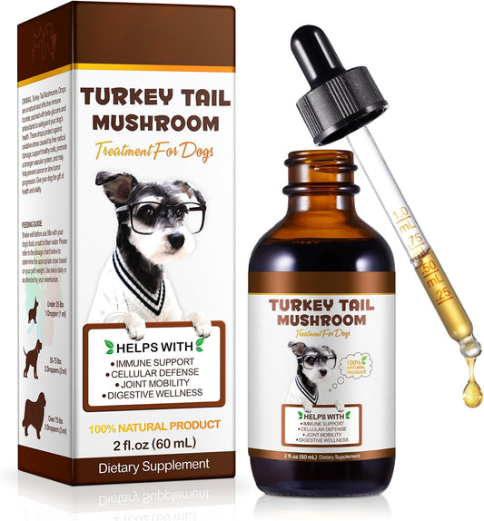 Turkey Tail Mushroom for Dogs, – Immune support: Turkey tail mushroom is packed with antioxidants that help keep – Image 1