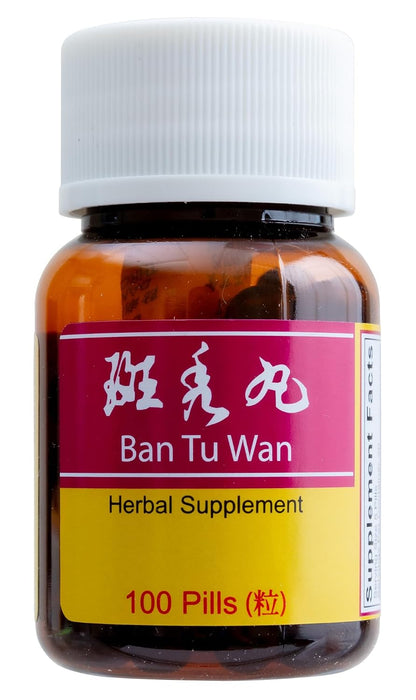 Ban Tu Wan (Alopecia) - 100 Pills | KIP Brand