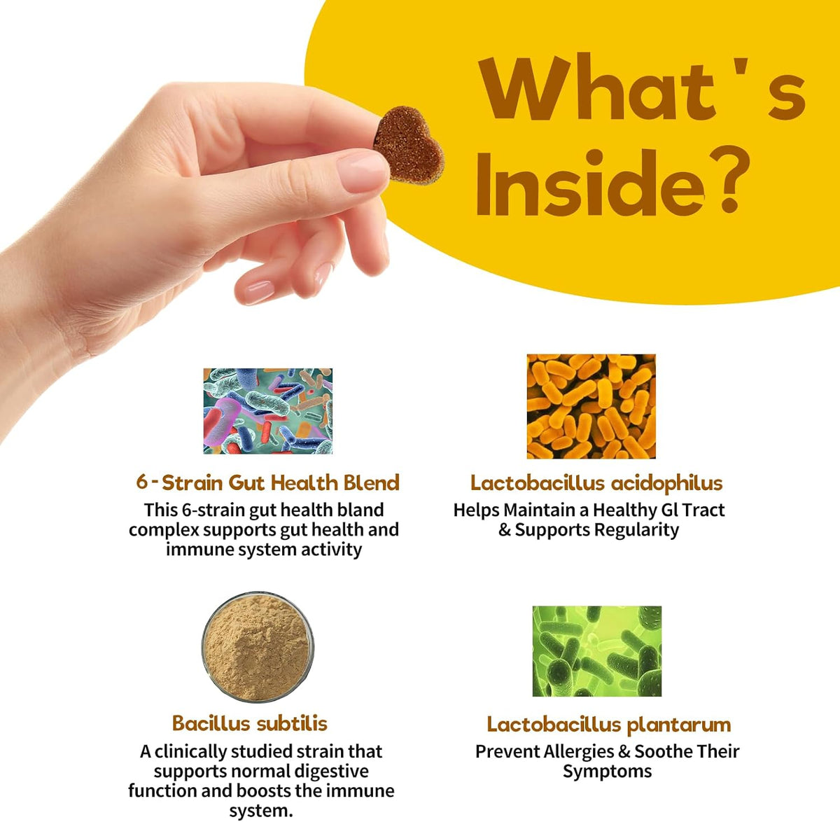 Vet Strength Probiotics for Dogs - Fast – Better Nutrient Absorption: A balanced gut means your dog gets more – Image 4