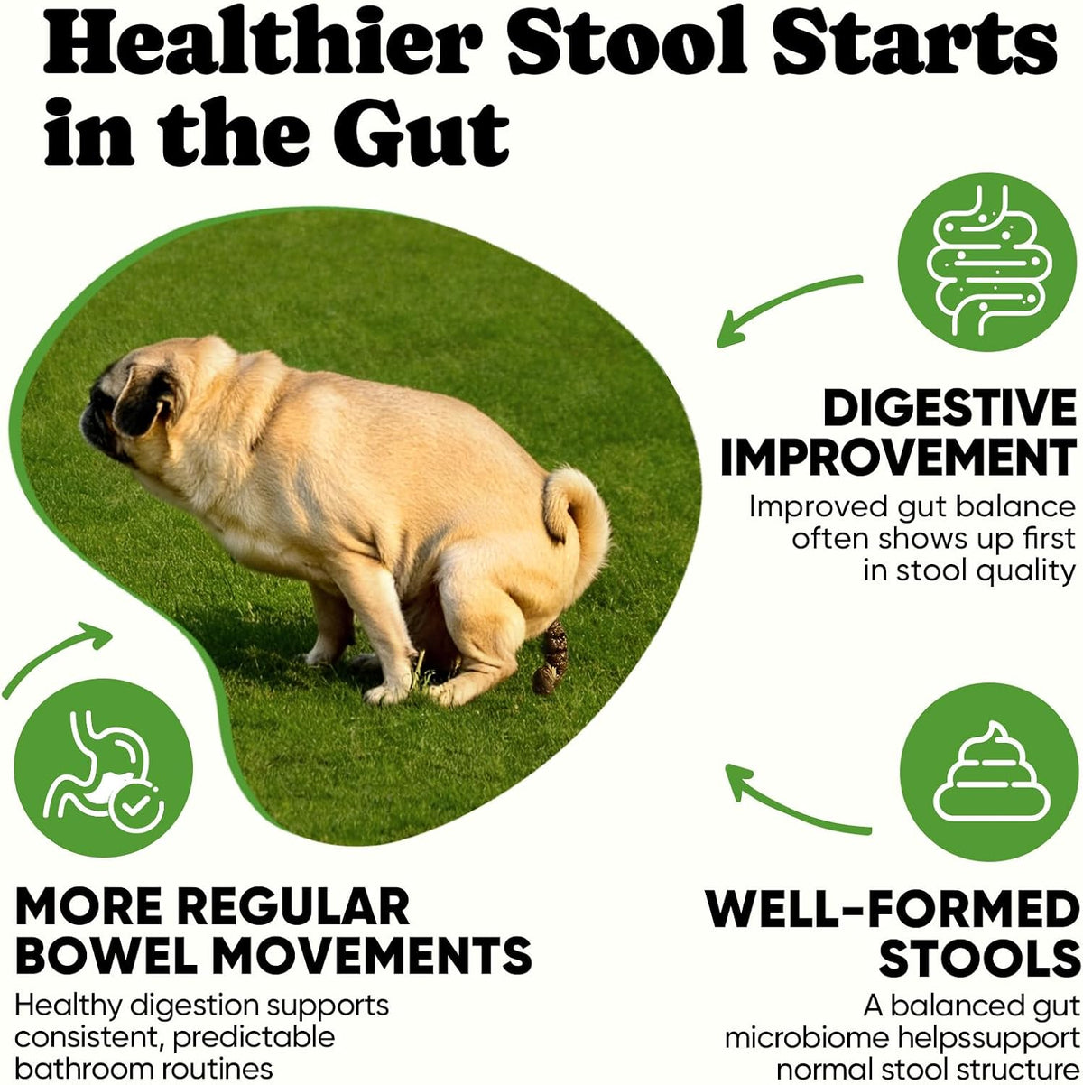 BuddyCheer Probiotics for Dogs - Supports Digestion, Skin and Breath - 180 Soft Chews – Image 3