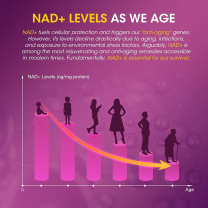 NAD Resveratrol Gummies for Women's - – Trans-Resveratrol : A powerful antioxidant from grapes, known to support – Image 8