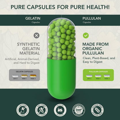 Elements of Life Multivitamin for Women's – – Maca Root – Traditionally used to support hormonal balance and – Image 5