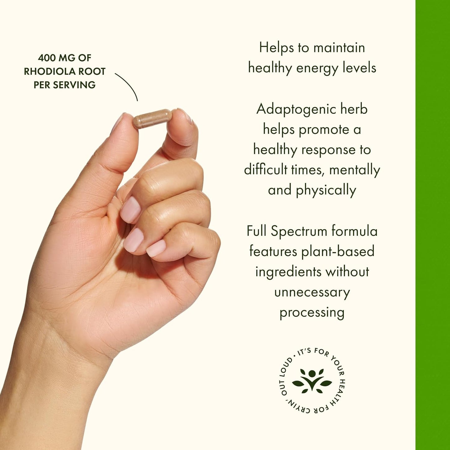 Swanson Rhodiola Rosea Root - Adaptogenic Herb Supplement for Stress Support & Energy - 400 mg, 100 Capsules - görsel 3