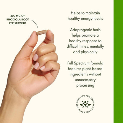 Swanson Rhodiola Rosea Root - Adaptogenic Herb Supplement for Stress Support & Energy - 400 mg, 100 Capsules