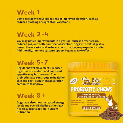 Vet Strength Probiotics for Dogs - Fast – Form & Palatability: Soft chews beat powders or capsules. The pumpkin – Image 7