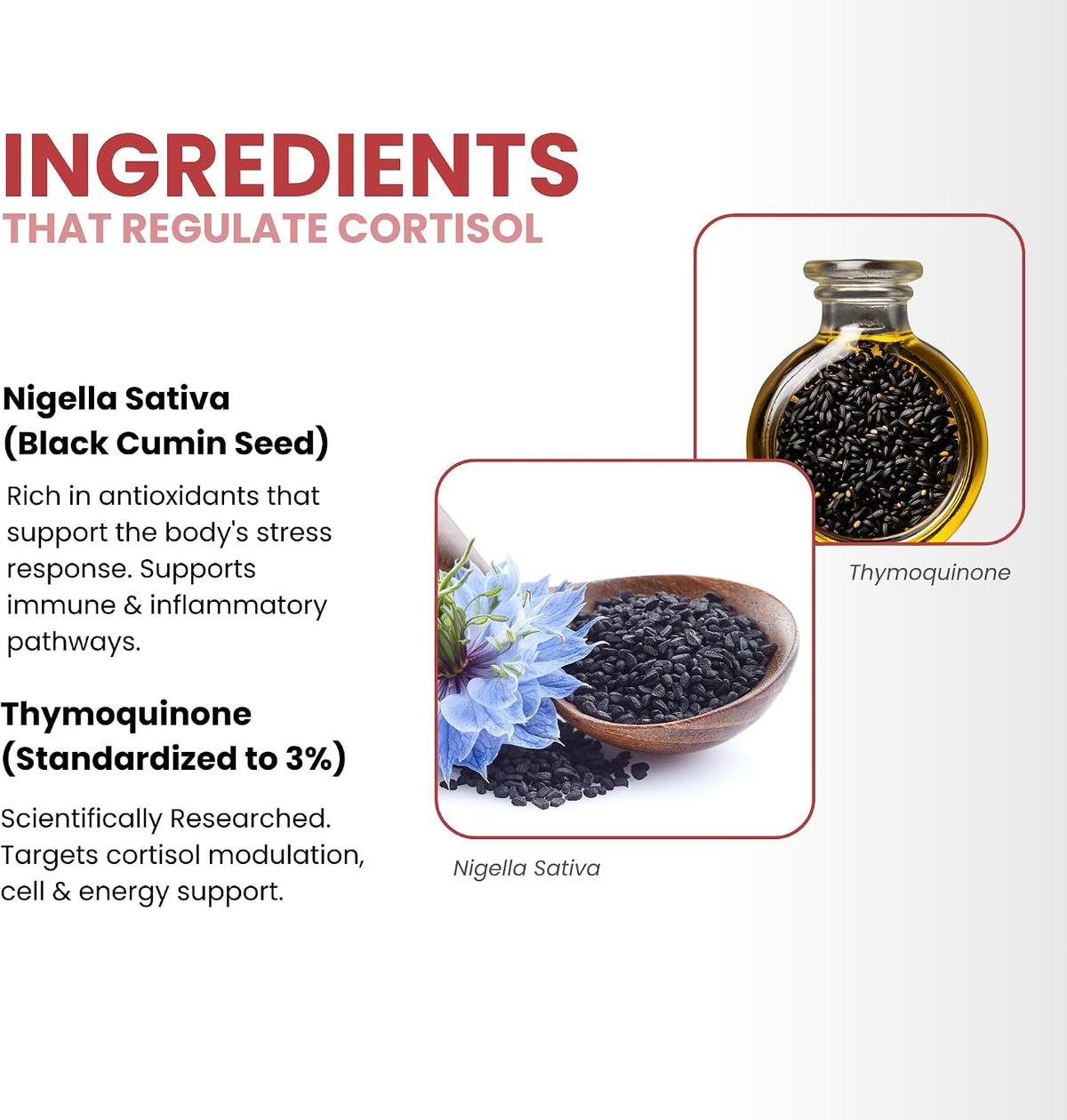 ThymoQuin Cortisol Manager – Black Seed Oil – Cortisol regulation: Helps maintain balanced cortisol levels for a – Image 6
