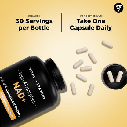 Vital Vitamins NAD+ Supplement - 500mg – Vegetable Capsule: Made from plant-based materials, suitable for most – Image 7