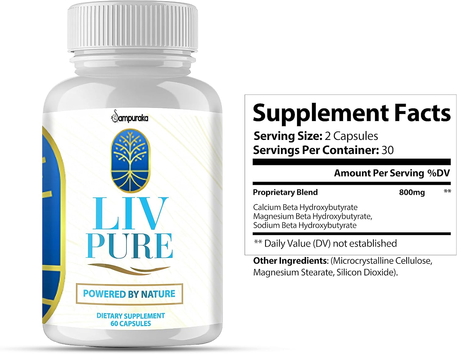 Liv Pure New Advanced Formula Supplement - 1 Pack 30 Days Supply - görsel 2