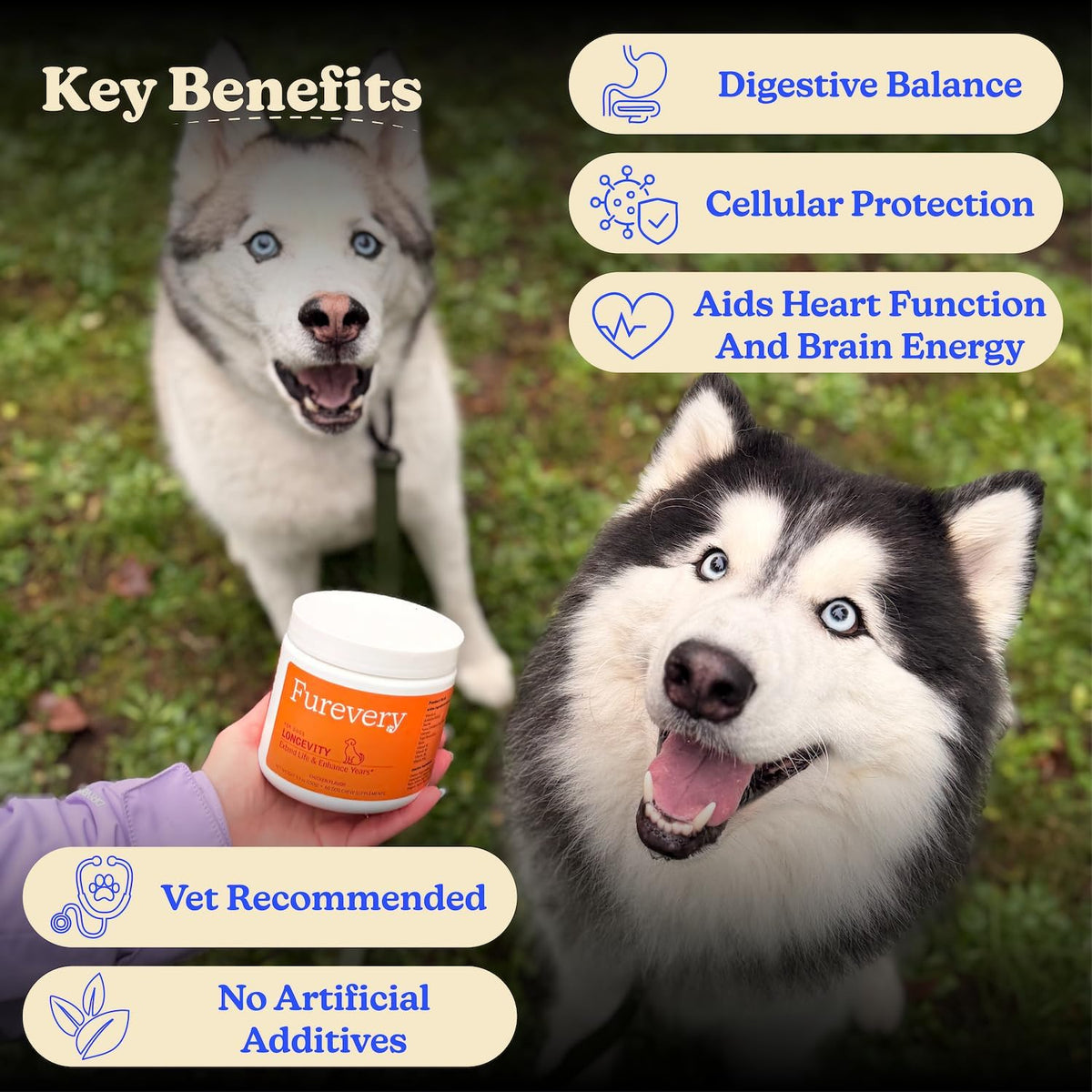 Furevery 11-in-1 Dog Multivitamin Chews – – Biotin: Nourishes skin and promotes a glossy, healthy coat, plus – Image 5