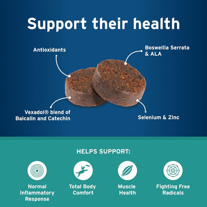 Pet Protect Whole Body Comfort+ Supplement for Dogs – Vet-Formulated Alenza, Supports Normal Inflammatory Response, Chicken-Flavoured Soft Chews (120 Count)