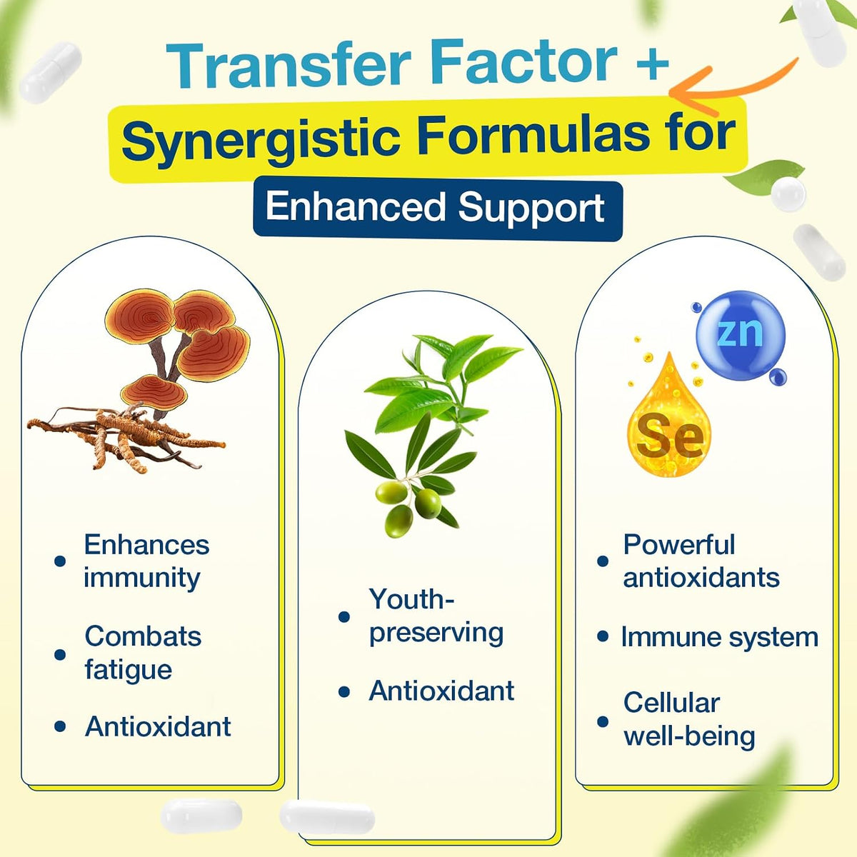 Transfer Factor 1800mg | Colostrum & Egg – Mushroom Complex (Reishi and Cordyceps): Adaptogenic mushrooms known – Image 4