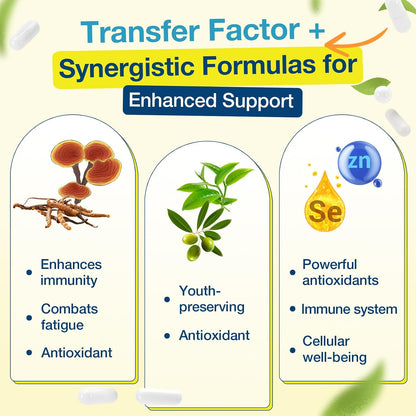 Transfer Factor 1800mg | Colostrum & Egg – Mushroom Complex (Reishi and Cordyceps): Adaptogenic mushrooms known – Image 4