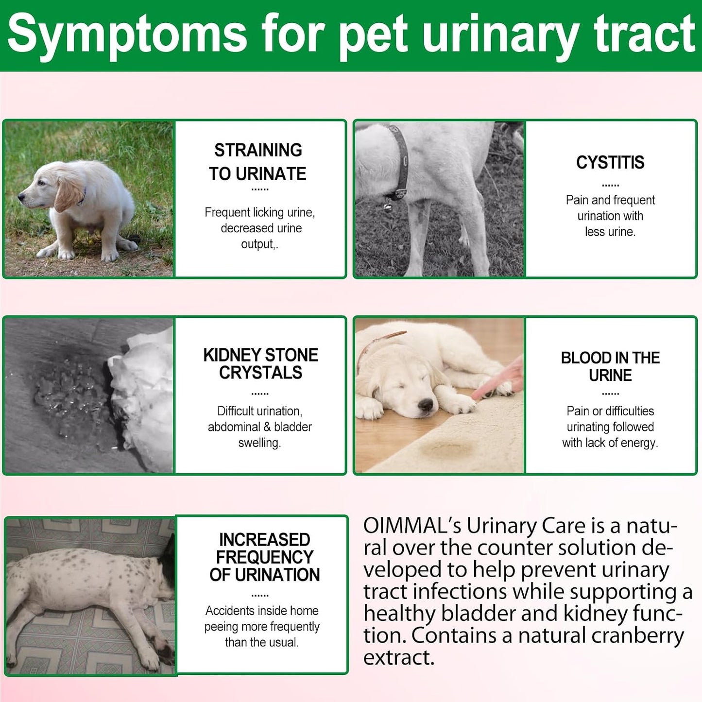 Urinary Tract Supplement for Dogs with Cranberry - 60 ml - görsel 3