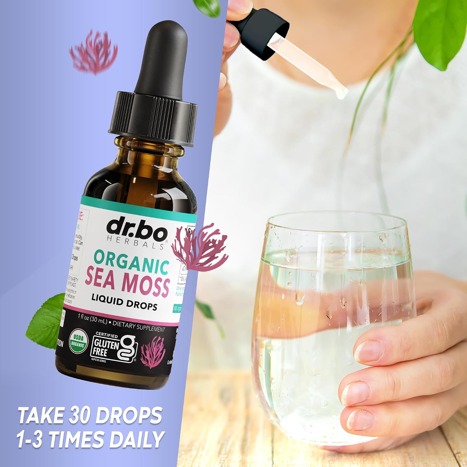 Irish Sea Moss Liquid Drops – Organic, Vegan, Non-GM, Extra Strength - görsel 7